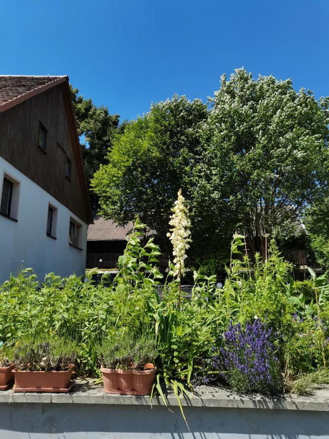 Ferienwohnungen Hering Kleingiesshubel Экстерьер фото