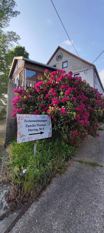 Ferienwohnungen Hering Kleingiesshubel Экстерьер фото